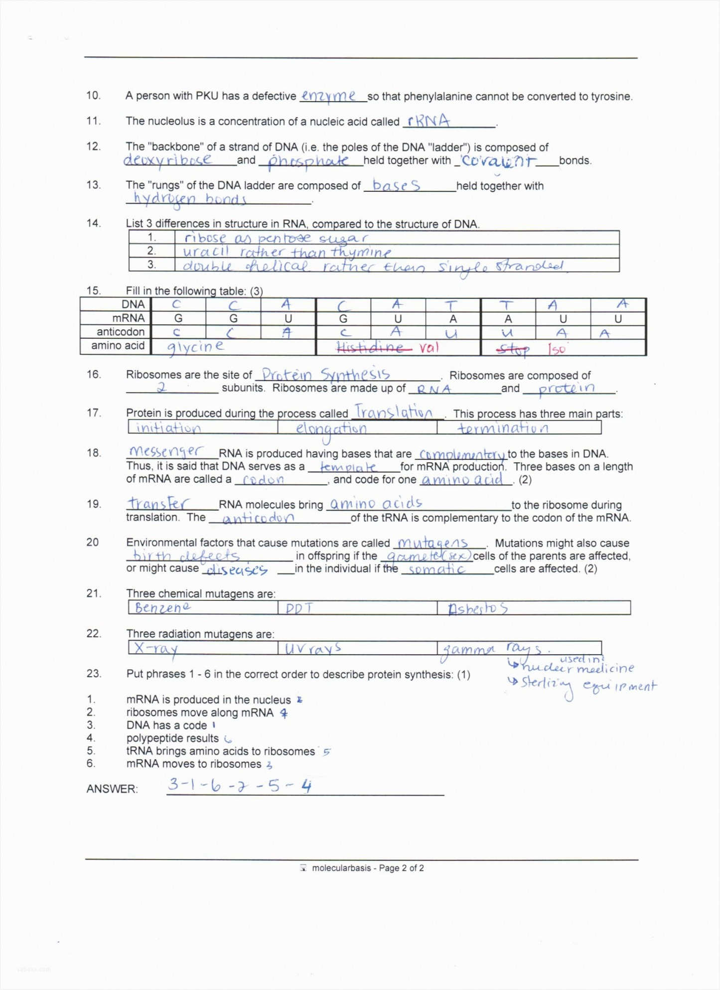 Protein Synthesis Practice Worksheet Protein Practice Worksheet
