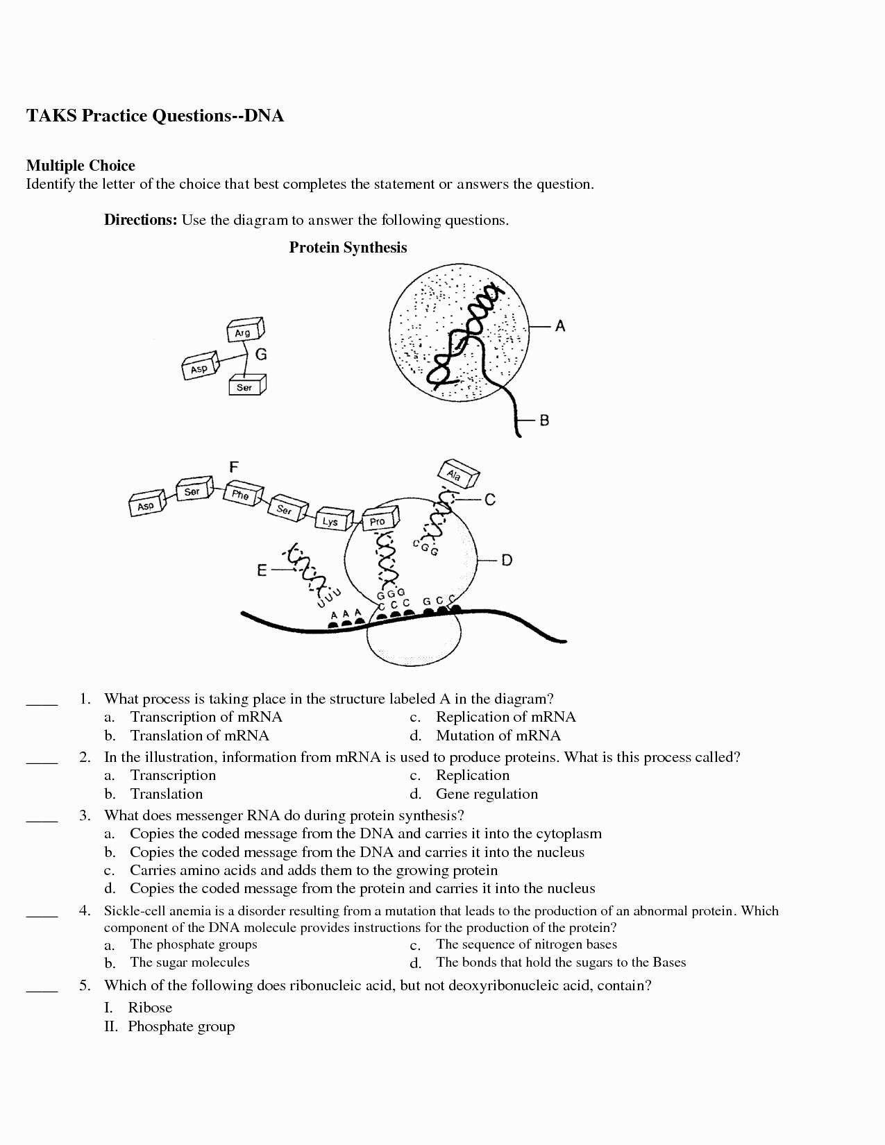Protein Synthesis Practice Worksheet Protein Synthesis Flow Chart Worksheet
