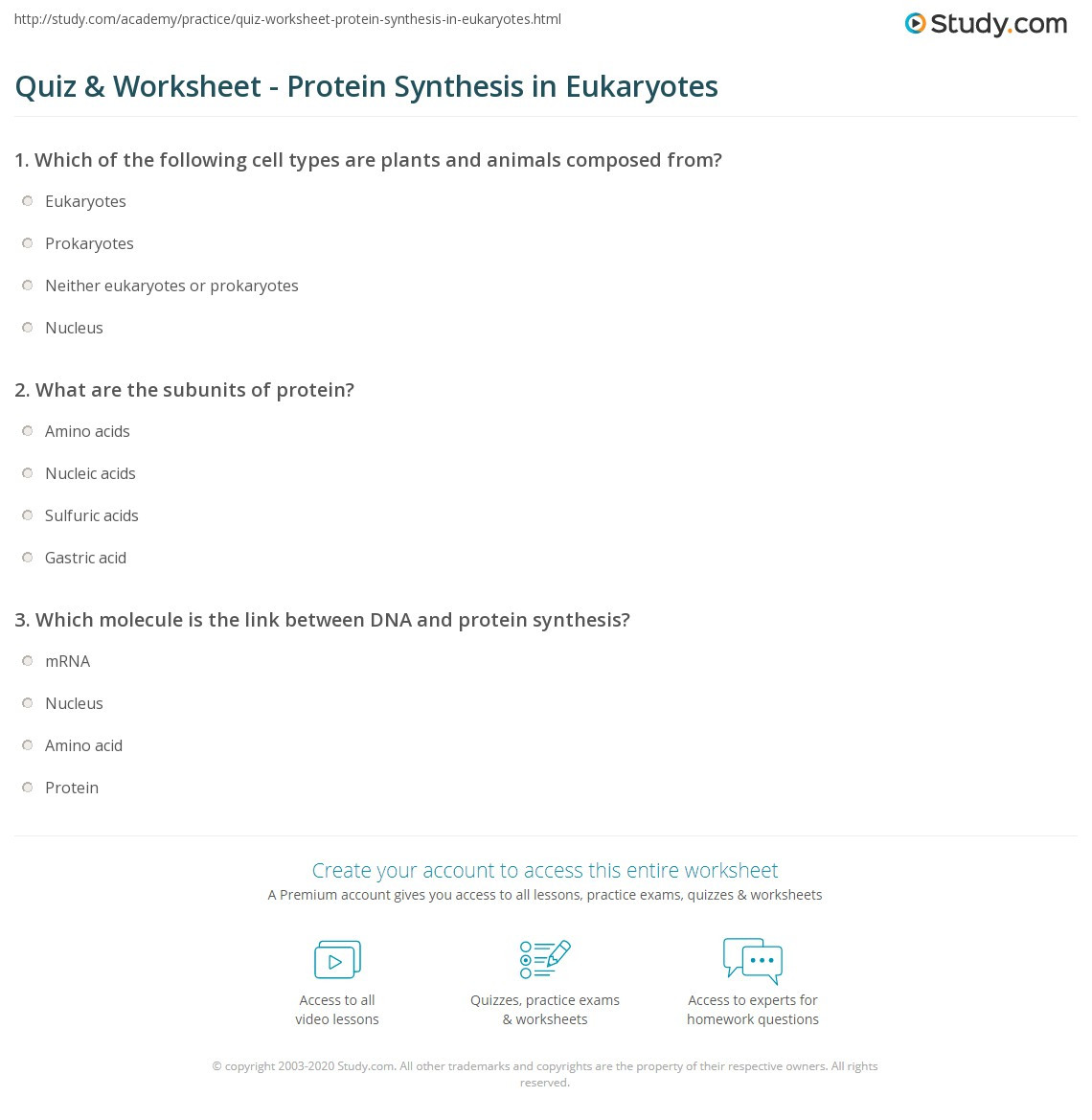 Protein Synthesis Practice Worksheet Quiz &amp; Worksheet Protein Synthesis In Eukaryotes