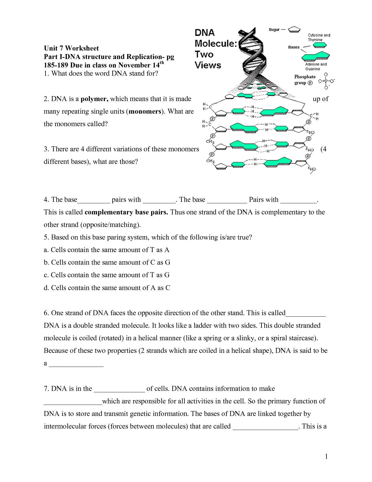 Protein Synthesis Review Worksheet Answers 35 Protein Synthesis Flow Chart Worksheet Answers