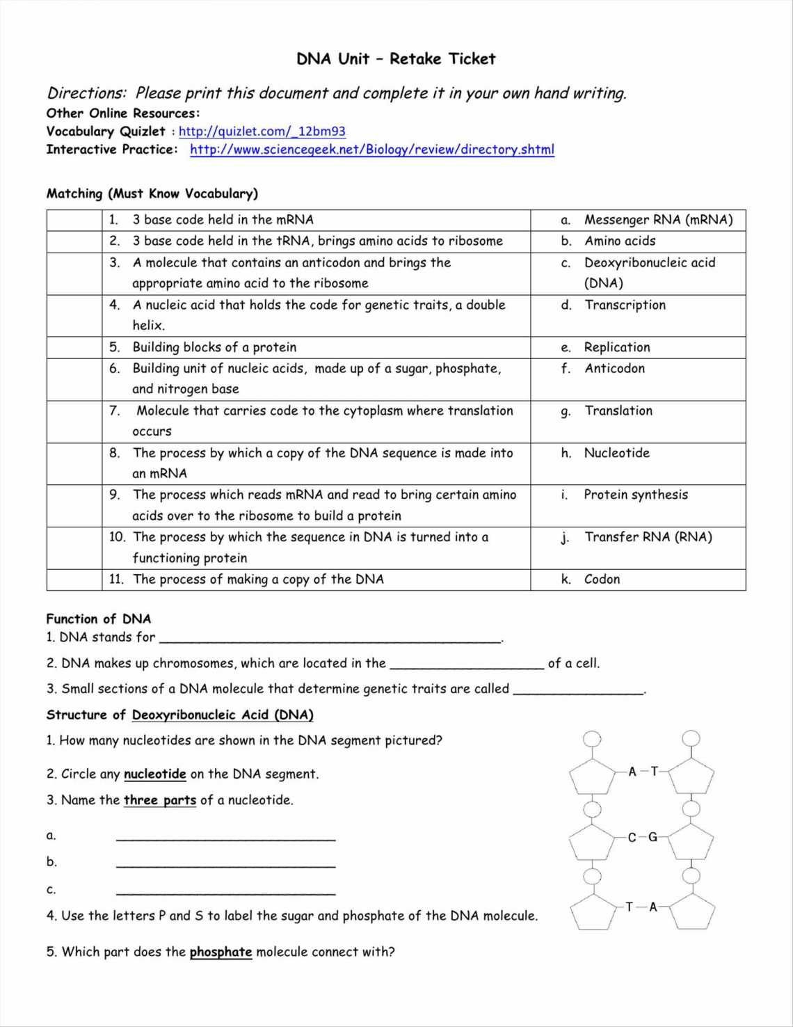 Protein Synthesis Review Worksheet Answers Dna and Rna Worksheet Pairing