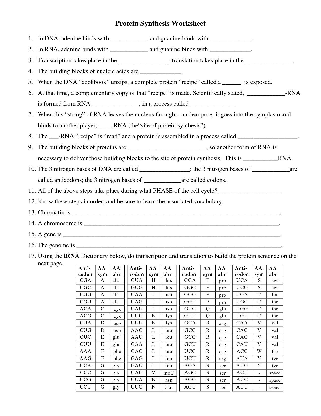 Protein Synthesis Review Worksheet Answers Prime Dna and Protein Synthesis Worksheet Answers