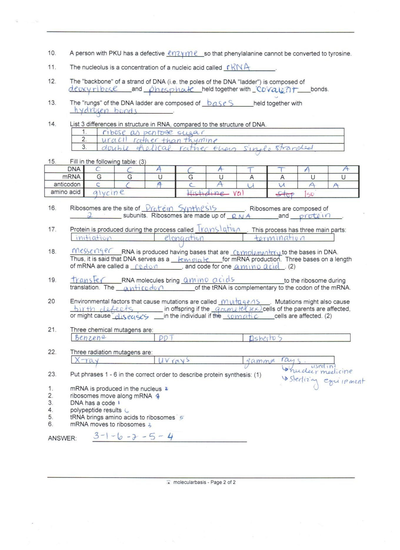 Protein Synthesis Review Worksheet Answers Protein Synthesis Review Worksheet Key Nidecmege