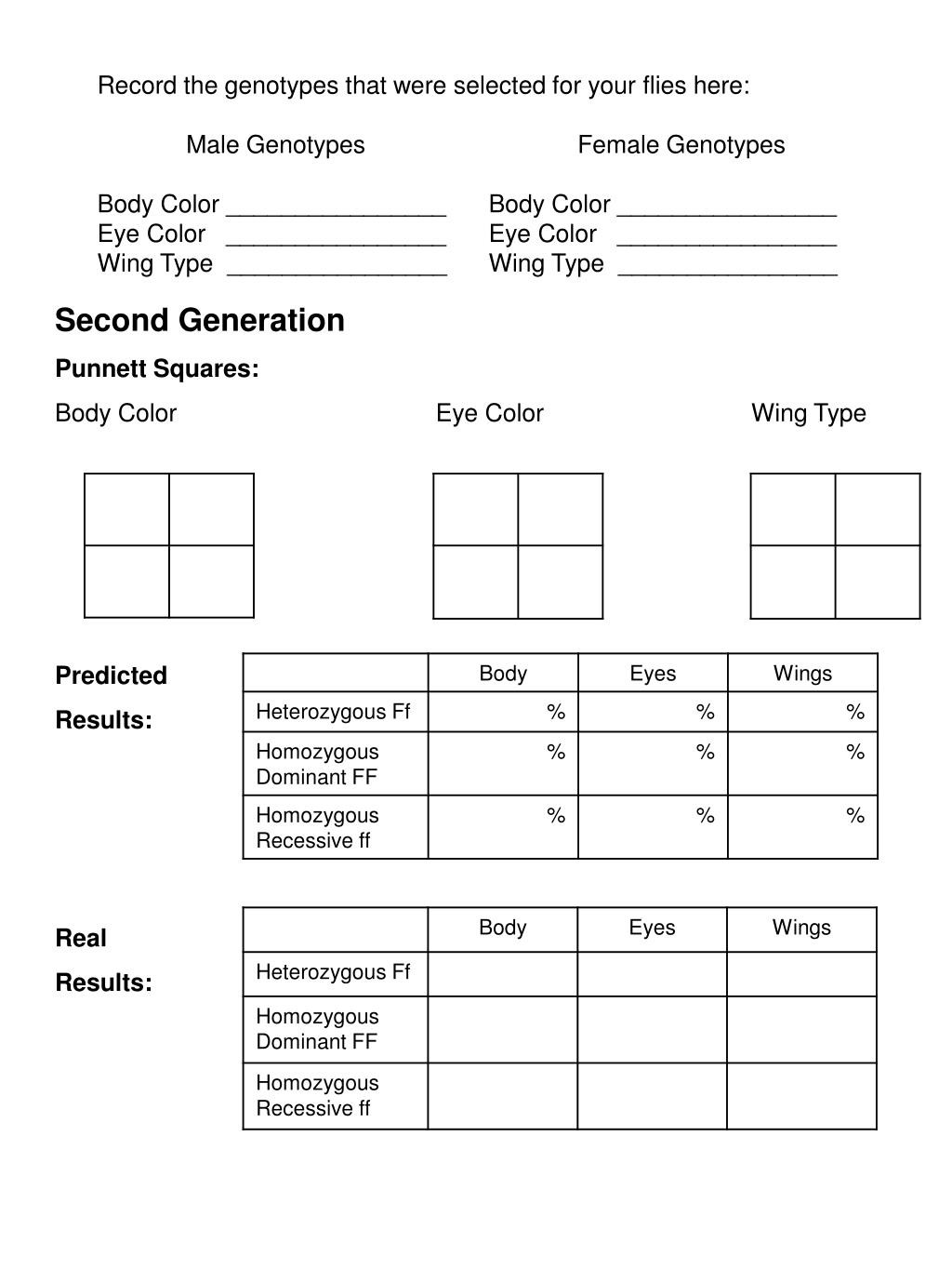 Punnett Square Practice Worksheet Answers Eye Color Punnett Square Worksheet