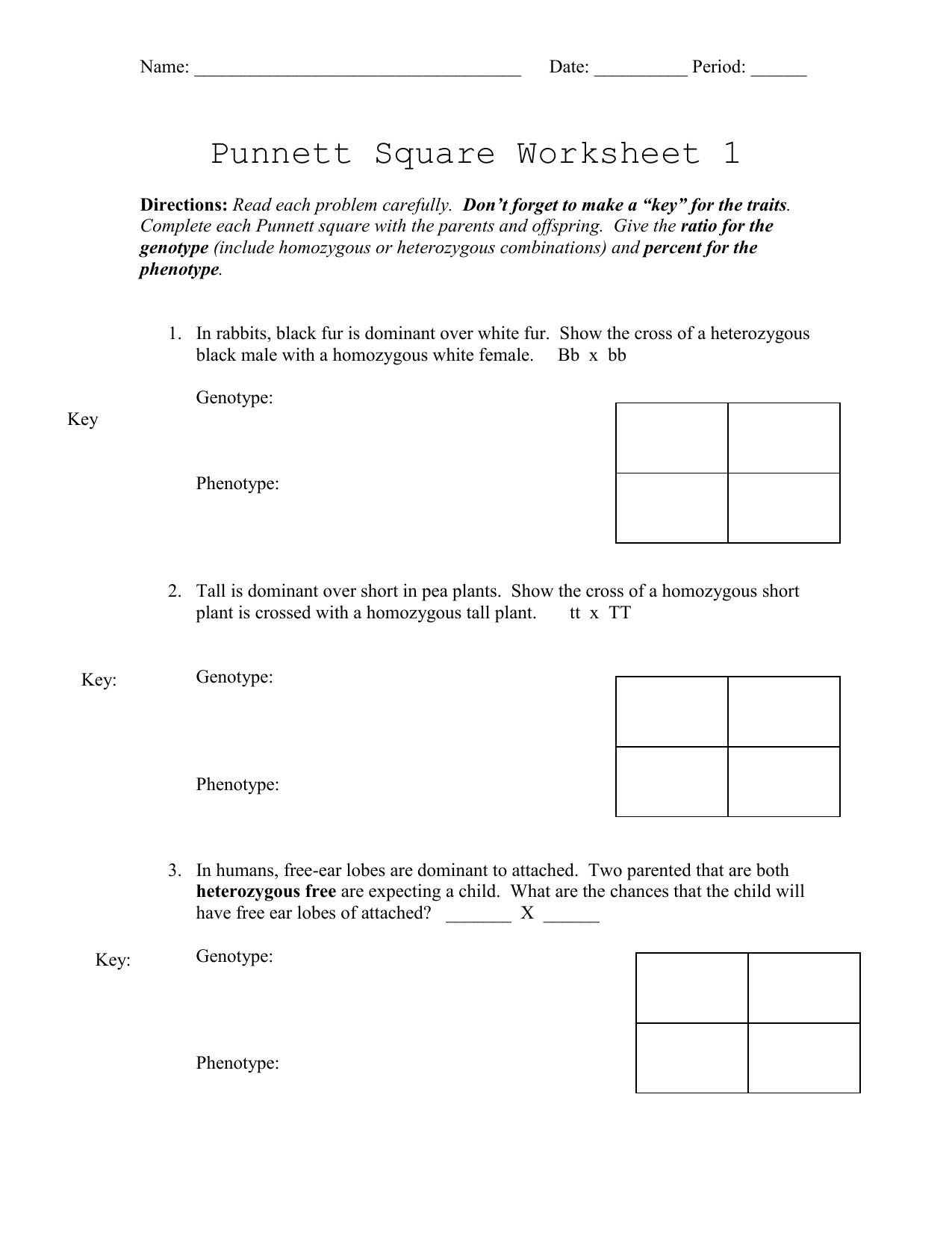 Punnett Square Practice Worksheet Answers Polygenic Punnett Square Worksheet