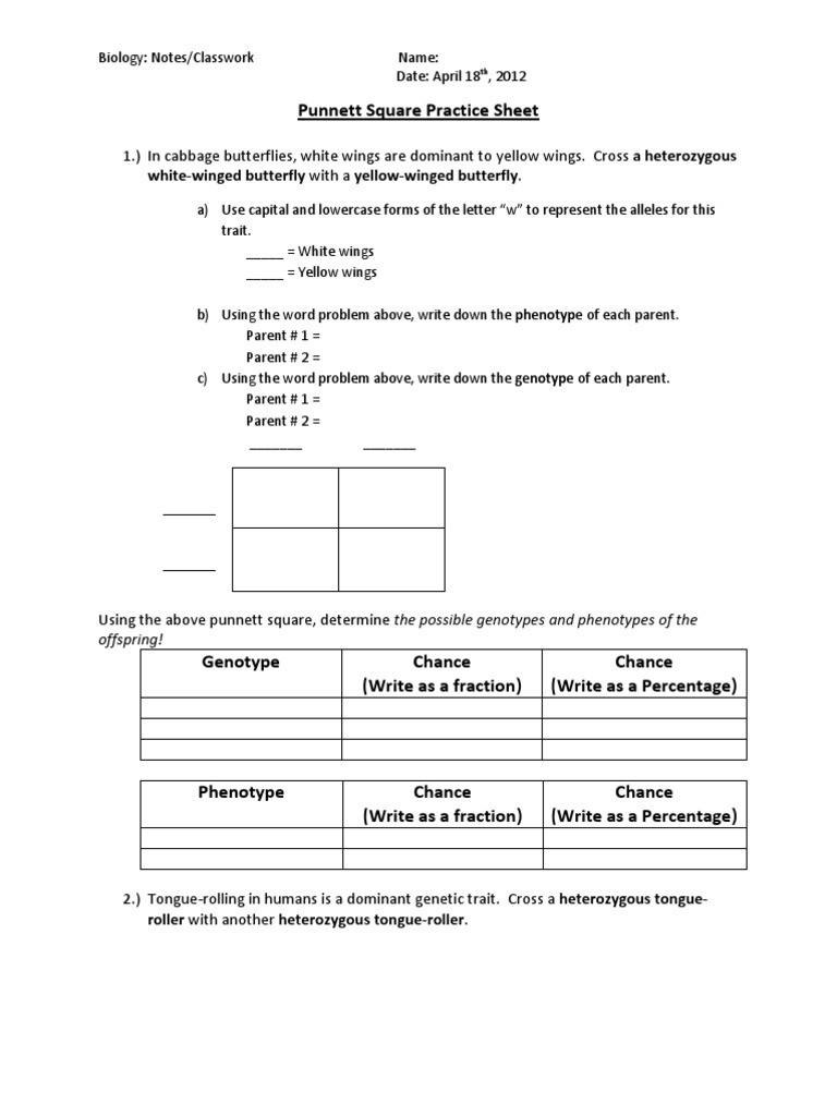 Punnett Square Practice Worksheet Answers Punnett Squares Practice Classwork Zygosity