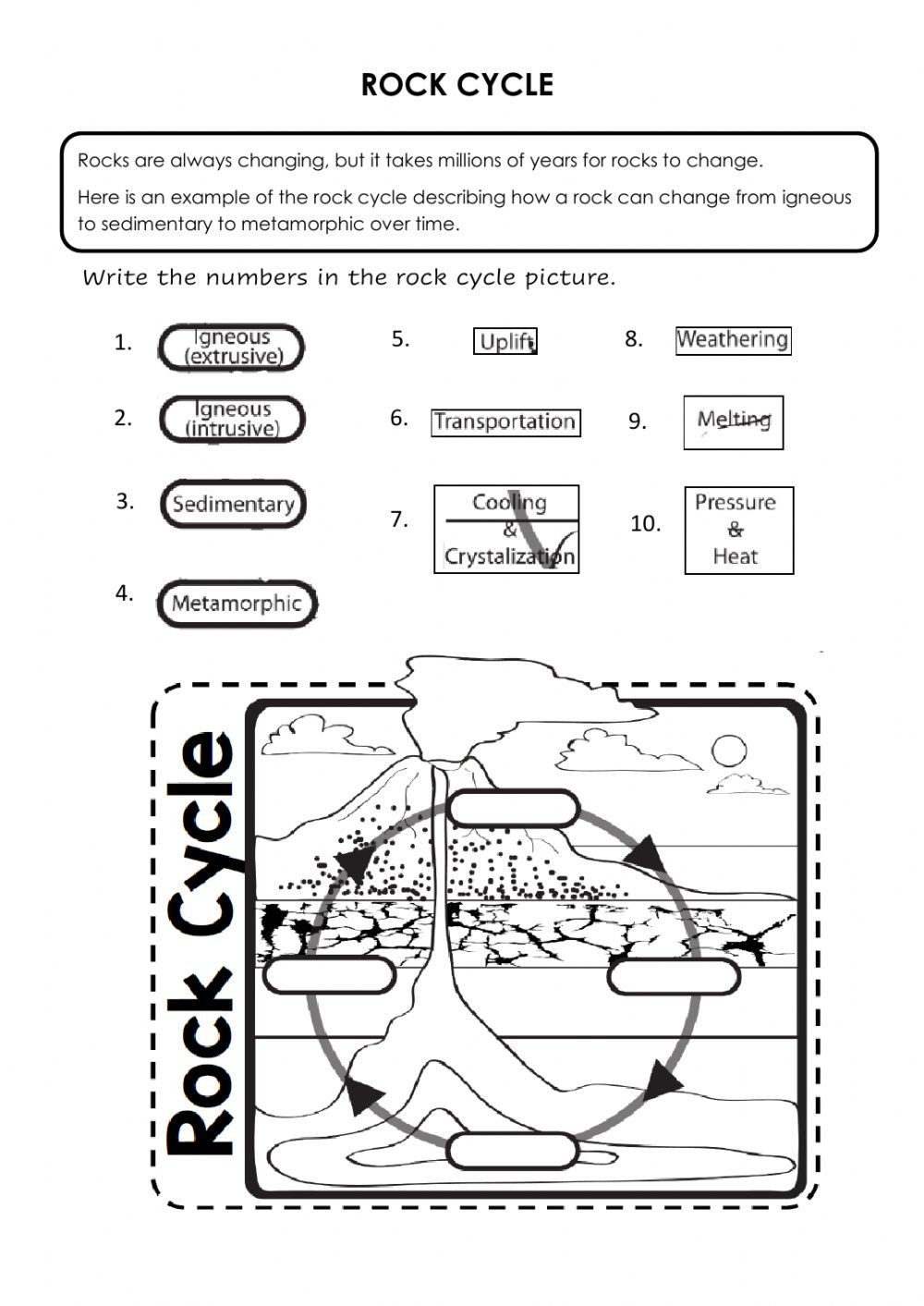 Rock Cycle Worksheet Answers Rock Cycle Interactive Worksheet