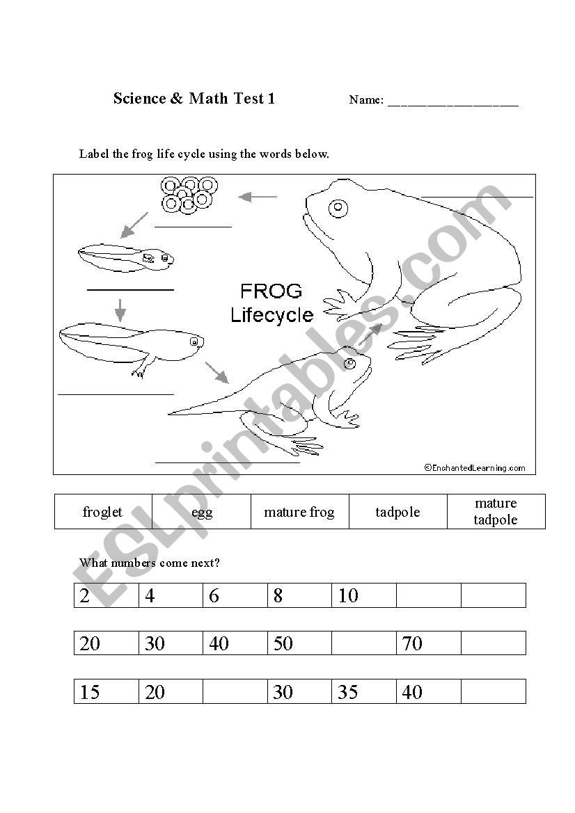 Science Worksheet for 1st Grade Math Worksheet 43 Stunning 1st Grade Science Worksheets