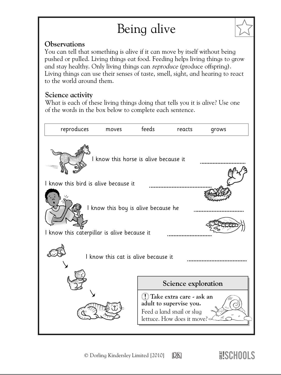 Science Worksheet for 1st Grade Pin On Ù¡Ù Ù¡