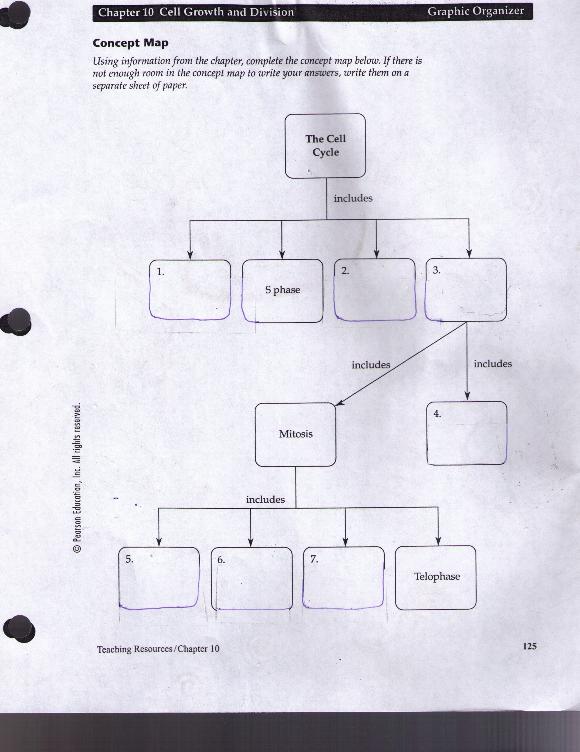 Skills Worksheet Concept Mapping Cell Concept Map Answer Key Maping Resources