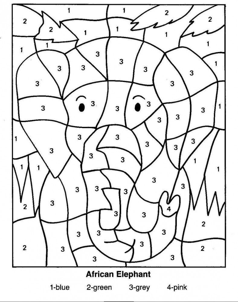 Sponges A Coloring Worksheet Hidden Picture Color by Number