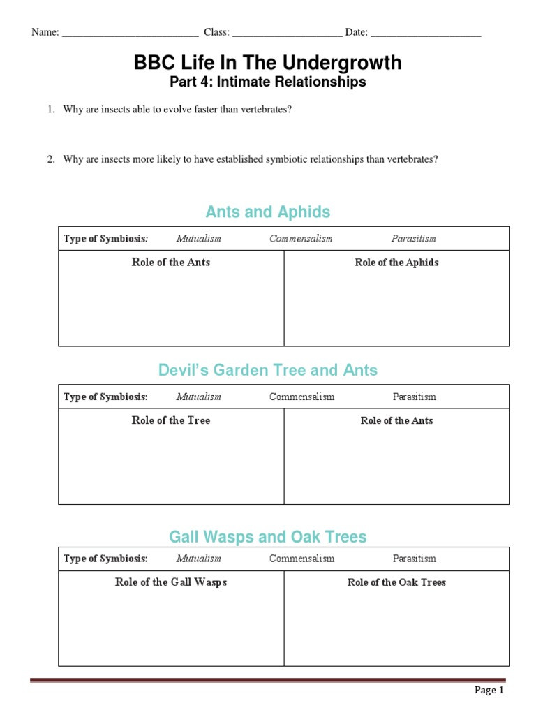 Symbiotic Relationships Worksheet Good Buddies Bbc Life In the Undergrowth Intimate Relationships