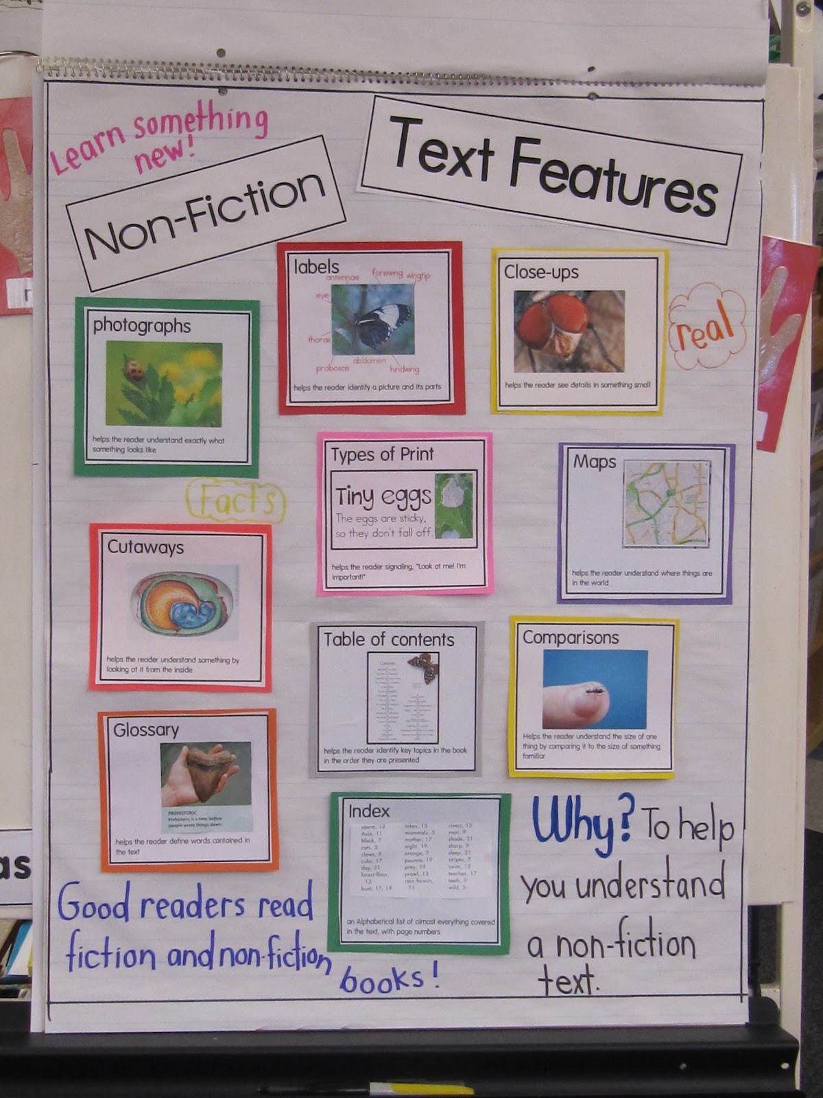 Text Features Worksheet 3rd Grade Text Structure Lessons Tes Teach
