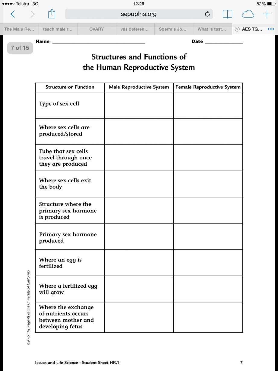 The Female Reproductive System Worksheet 15 Reproductive System Activity Reproductive Anatomyd