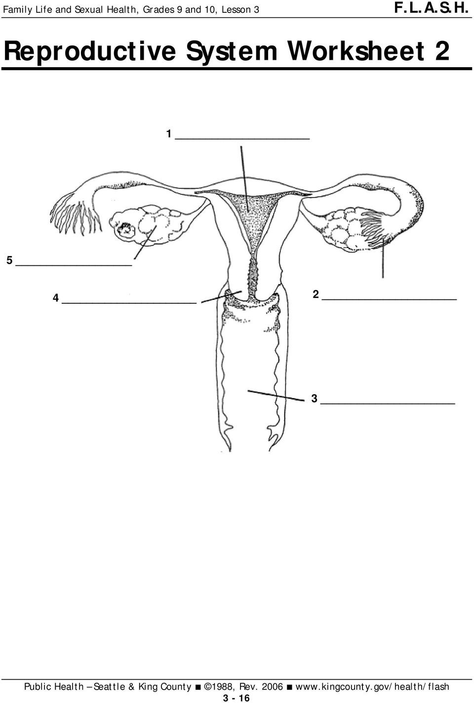 The Female Reproductive System Worksheet Reproductive System Grades 9 and 10 Lesson 3 Pdf Free