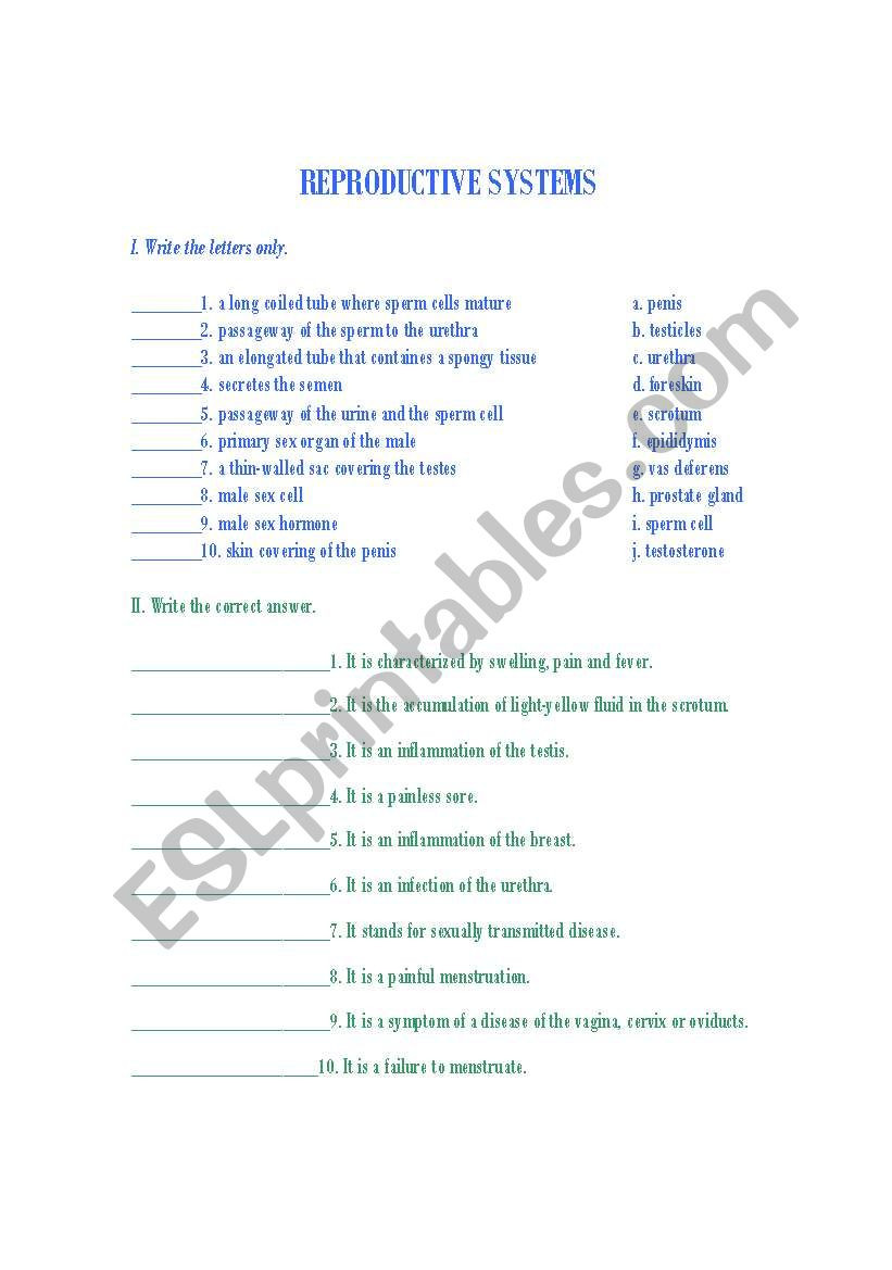 The Female Reproductive System Worksheet Reproductive System Matching Worksheet Esl Worksheet by