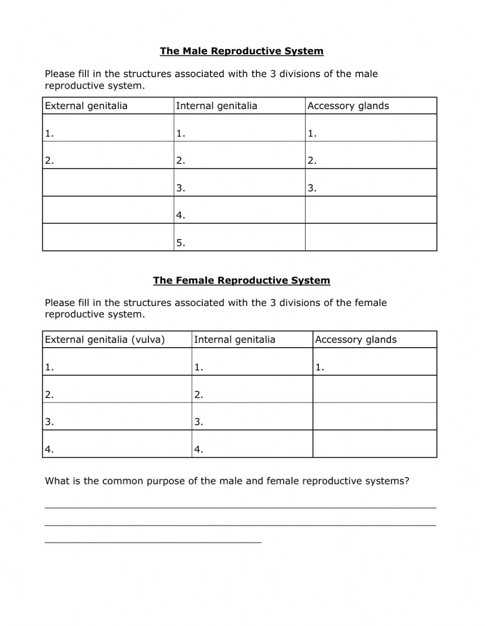 The Female Reproductive System Worksheet Reproductive System Structures Male Female Interactive