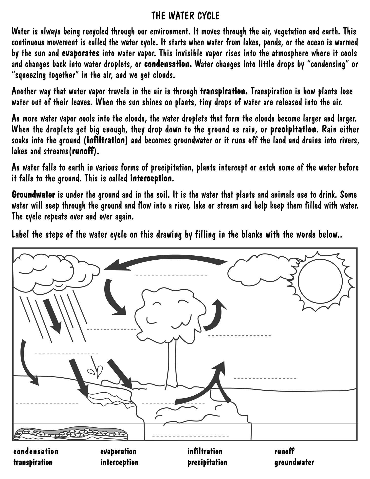 The Water Cycle Worksheet Answers Printable Water Cycle Diagram