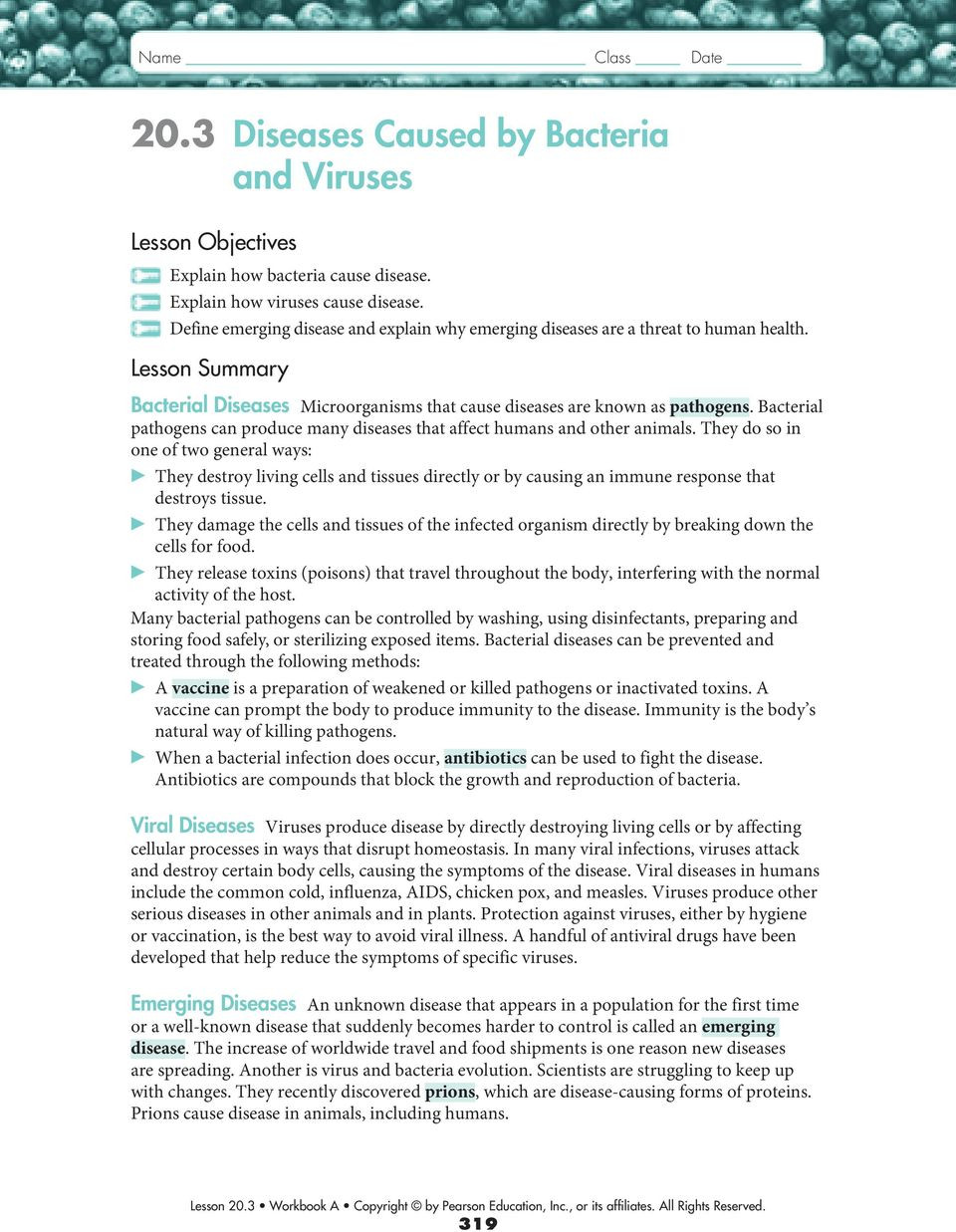 Virus and Bacteria Worksheet Answers 20 3 Diseases Caused by Bacteria and Viruses Pdf Free Download