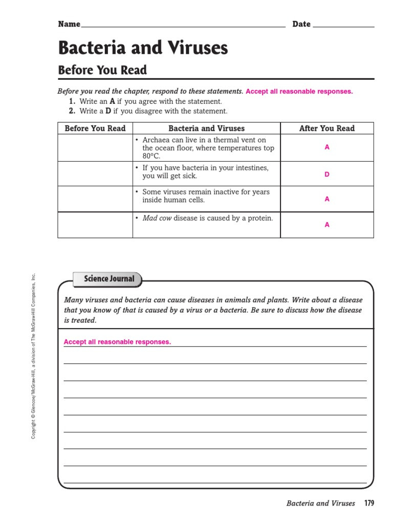 Virus and Bacteria Worksheet Answers Bacteria and Viruses before You Read Bacteria
