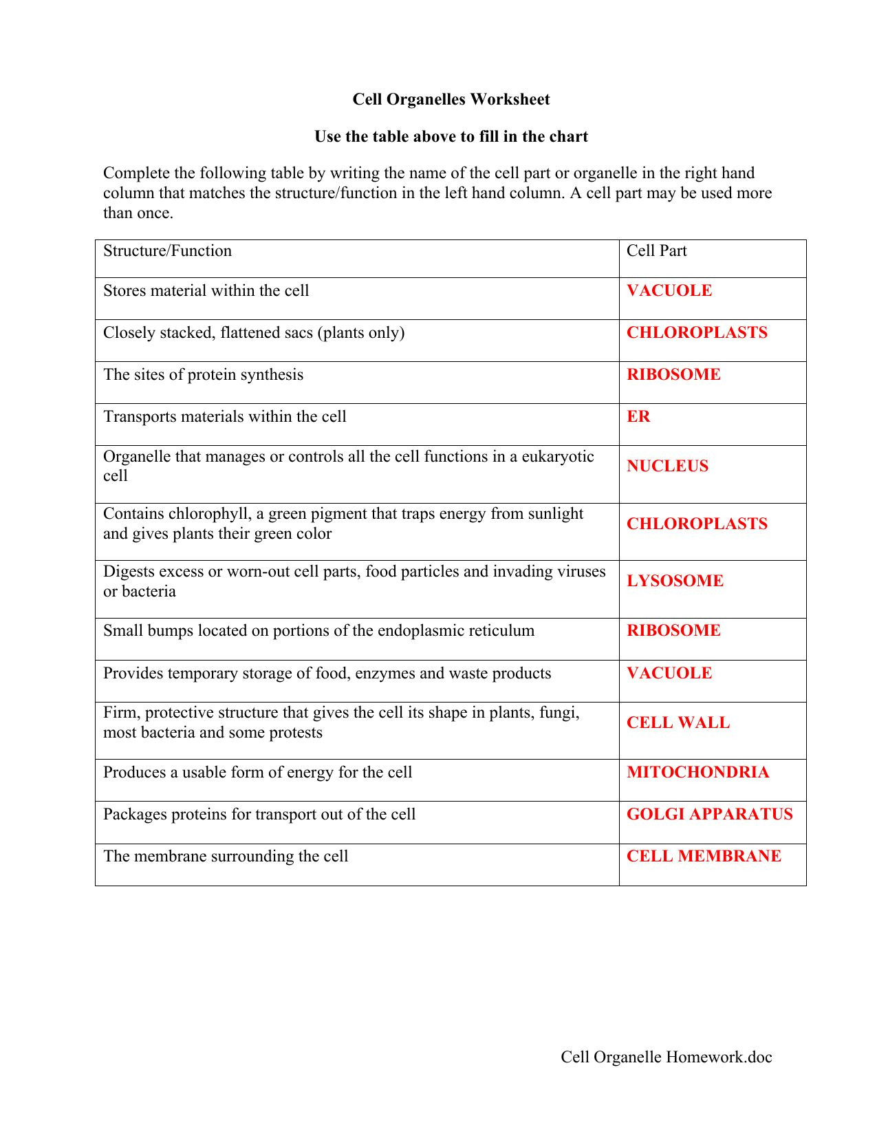 Virus and Bacteria Worksheet Answers Cell Basic Unit Life Lessons Tes Teach