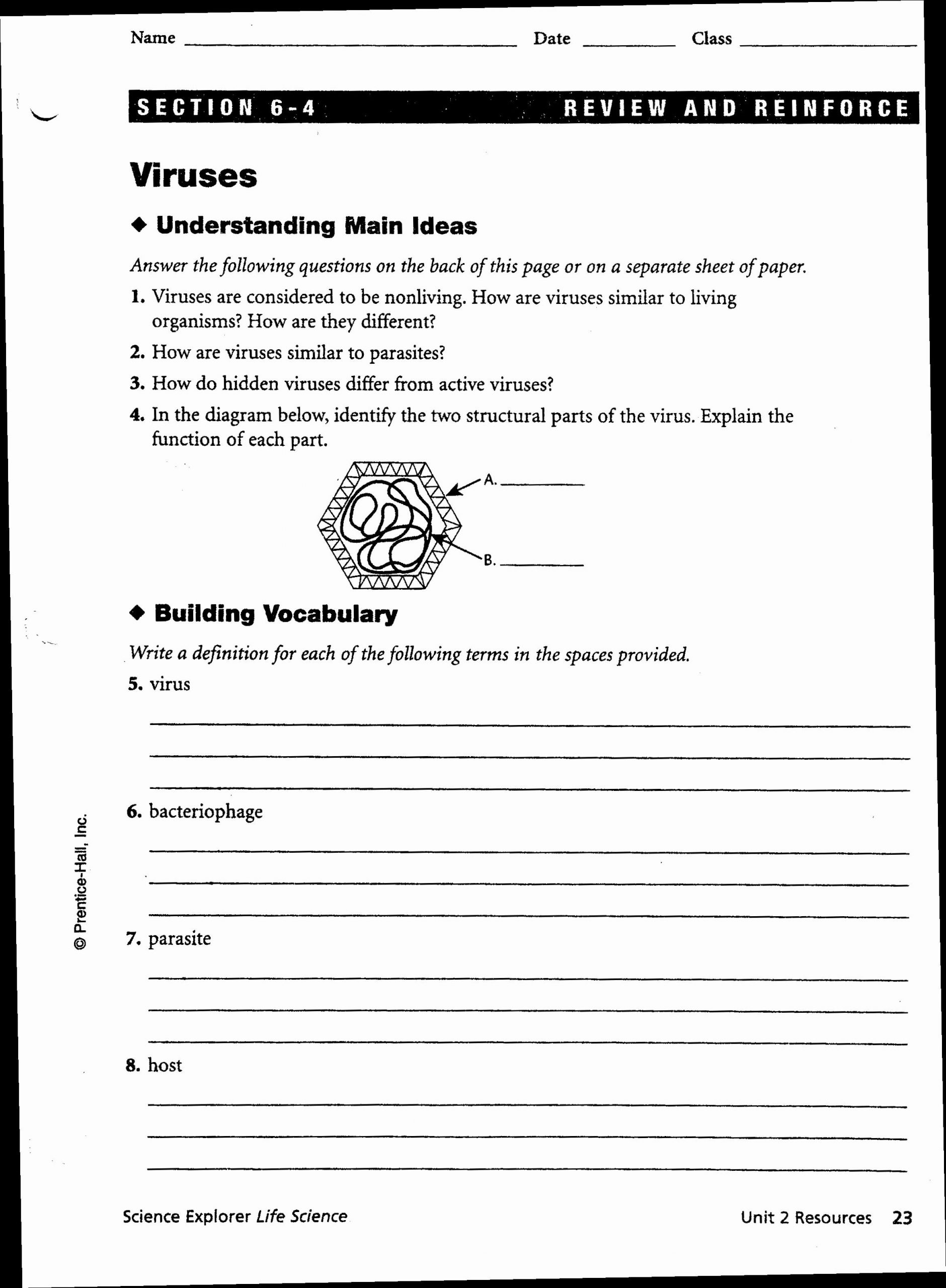 Virus and Bacteria Worksheet Answers Pin On Customize Design Worksheet Line