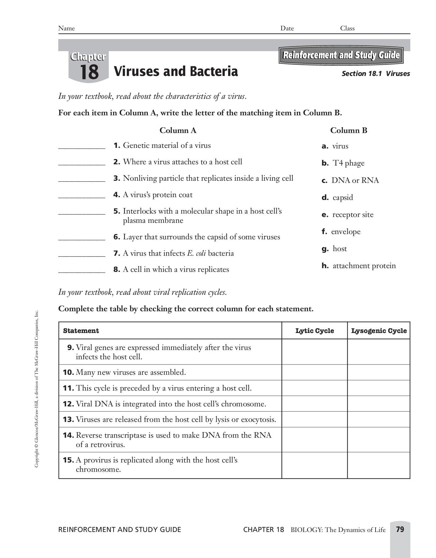 Virus and Bacteria Worksheet Answers Unit 6 Viruses Bacteria Protists and Fungi