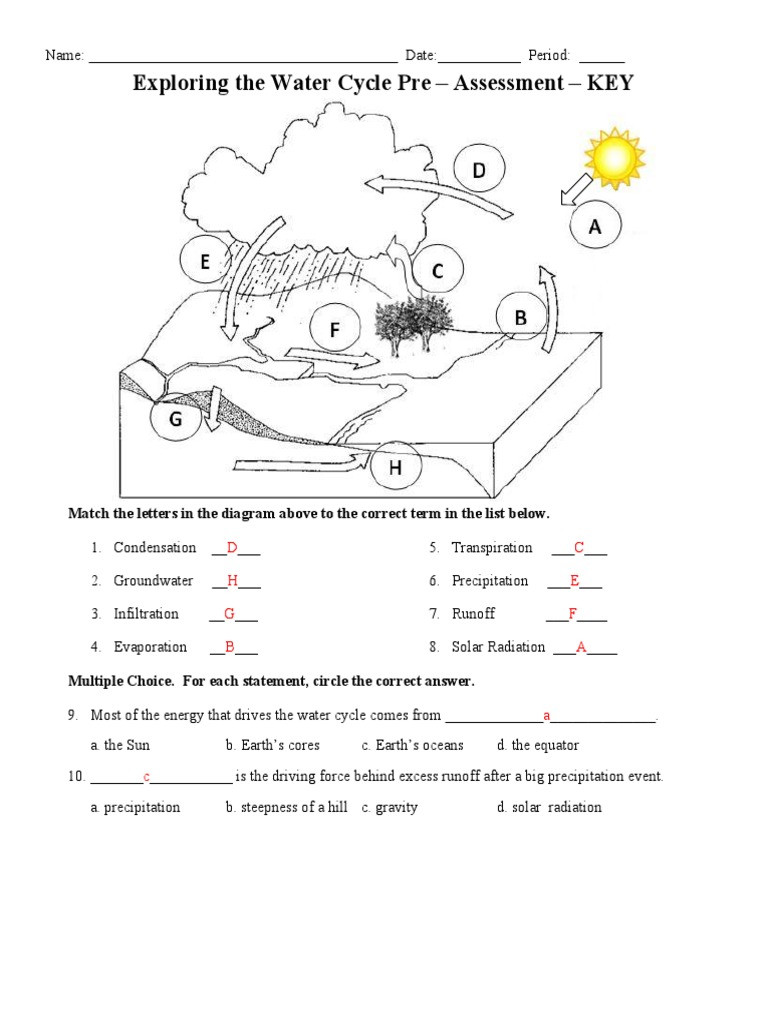 Water Cycle Worksheet Answer Key Exploring the Water Cycle Pre Post assessment Key