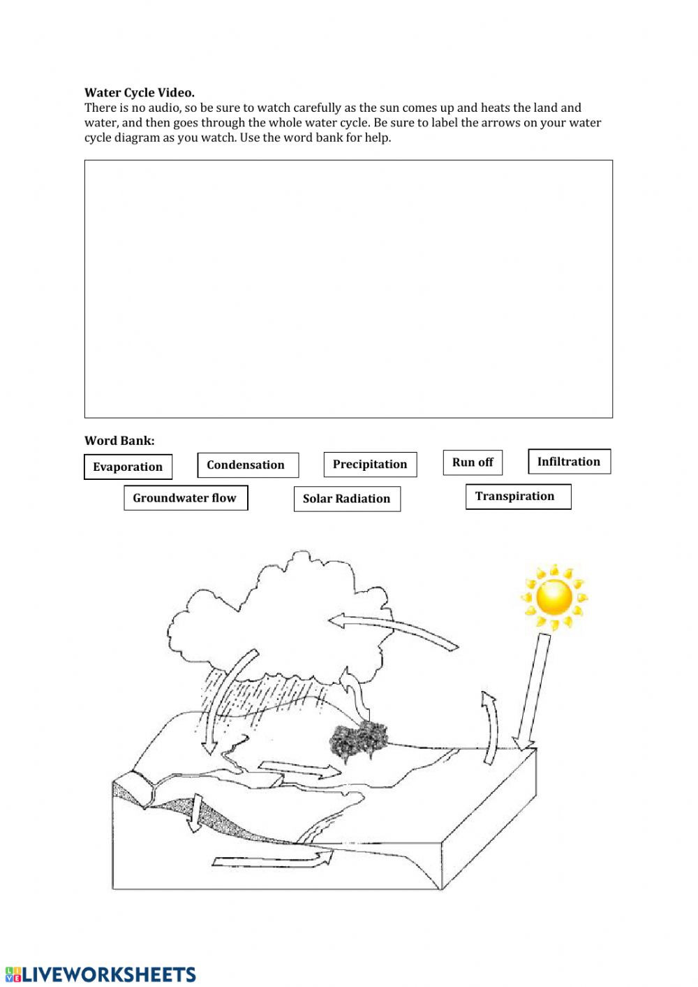 Water Cycle Worksheet Answer Key the Water Cycle Interactive Worksheet
