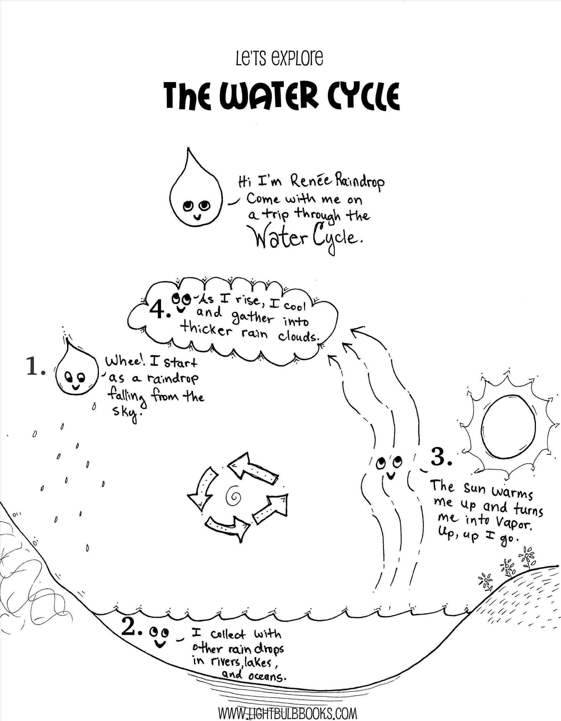 Water Cycle Worksheet Middle School Carbon Water Nitrogen Cycle Worksheet