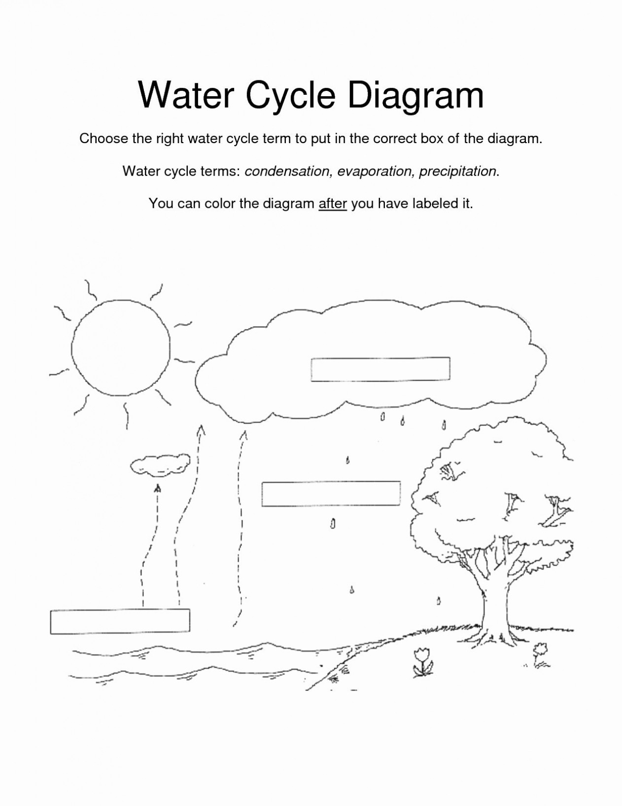 Water Cycle Worksheet Middle School Label Nitrogen Cycle Worksheet