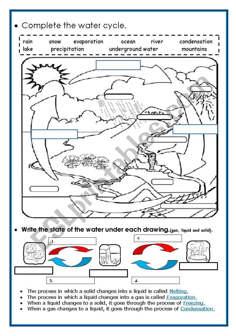 Water Cycle Worksheet Middle School the Water Cycle Esl Worksheet by Piedadrosell