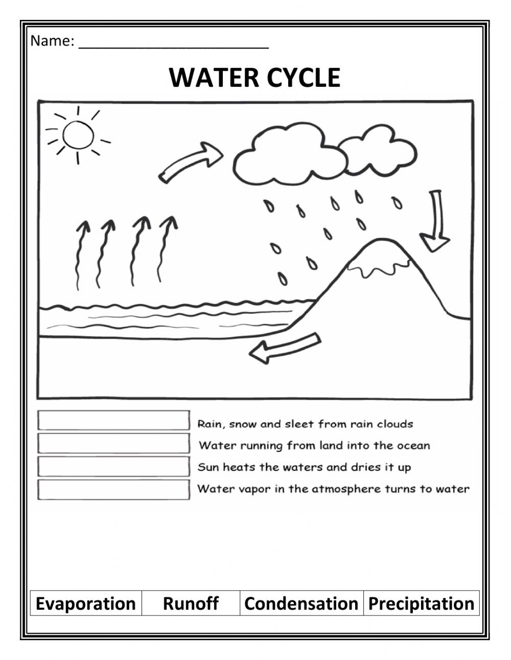 Water Cycle Worksheet Pdf Water Cycle Interactive Worksheet