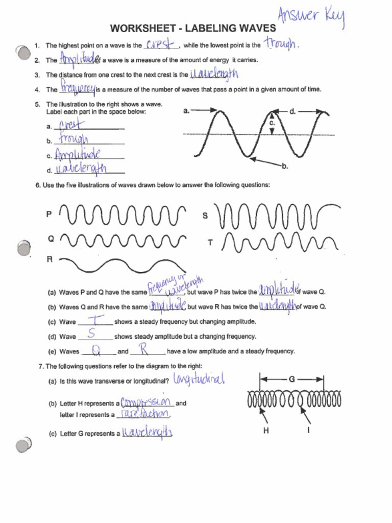 Waves Worksheet 1 Answers Labeling Waves Worksheet Answer Key