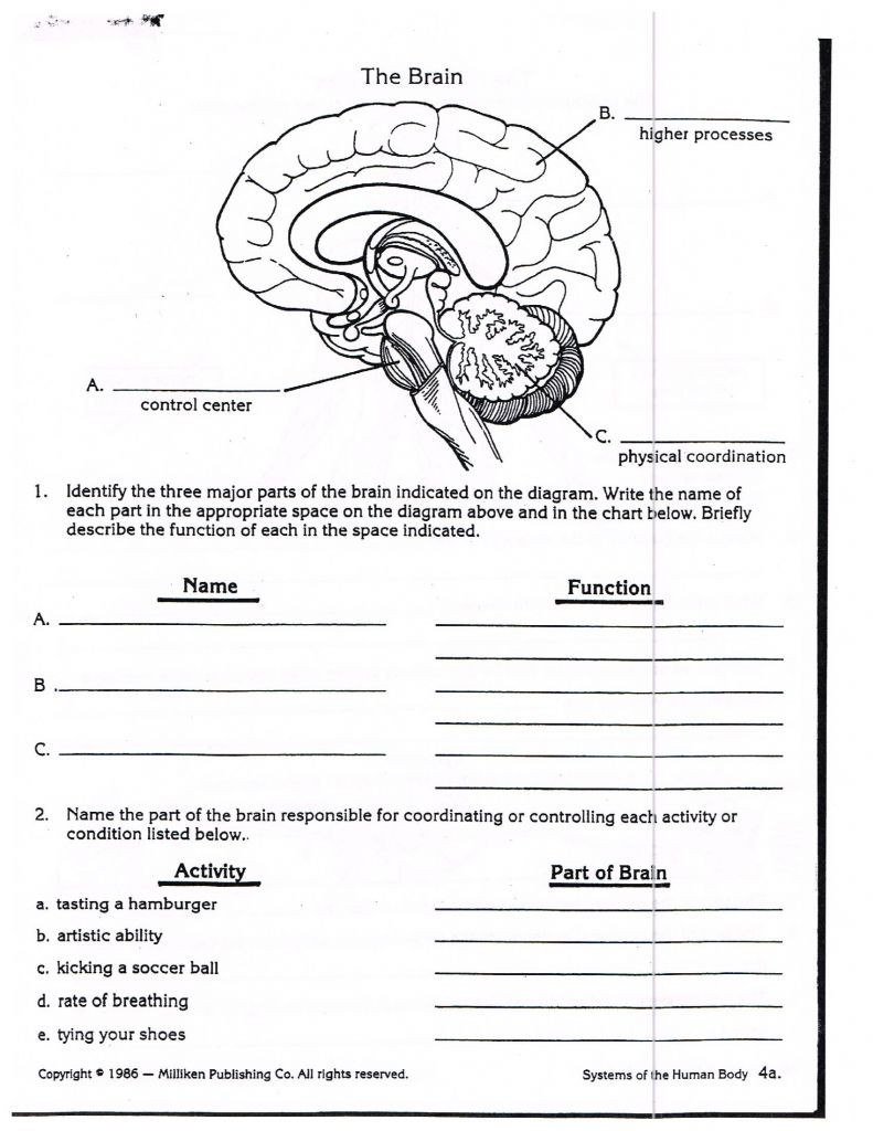bill nye magnetism worksheet answers as well as bill nye brain worksheets of bill nye magnetism worksheet answers 791x1024