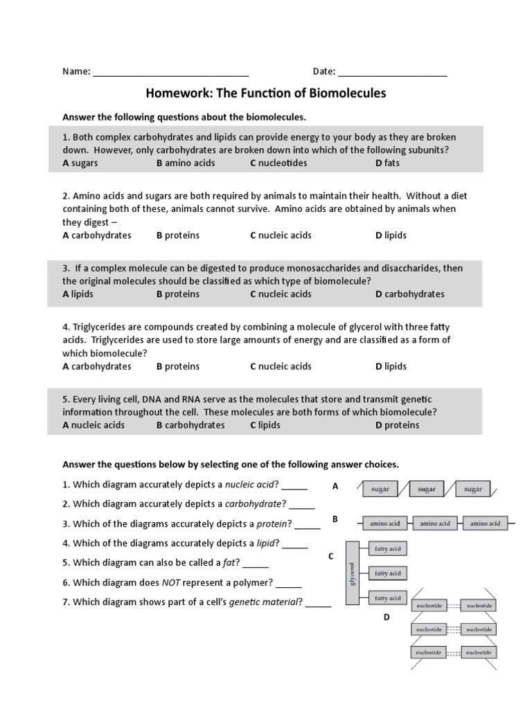 Biological Molecules Worksheet Answers Biomolecules Structure and Function Worksheet