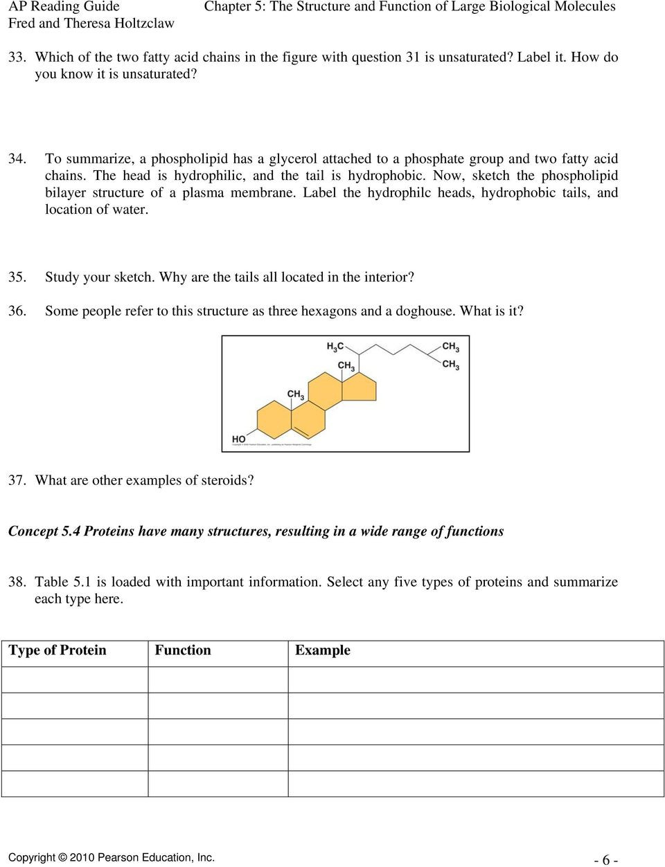 Biological Molecules Worksheet Answers Chapter 5 the Structure and Function Of Biological