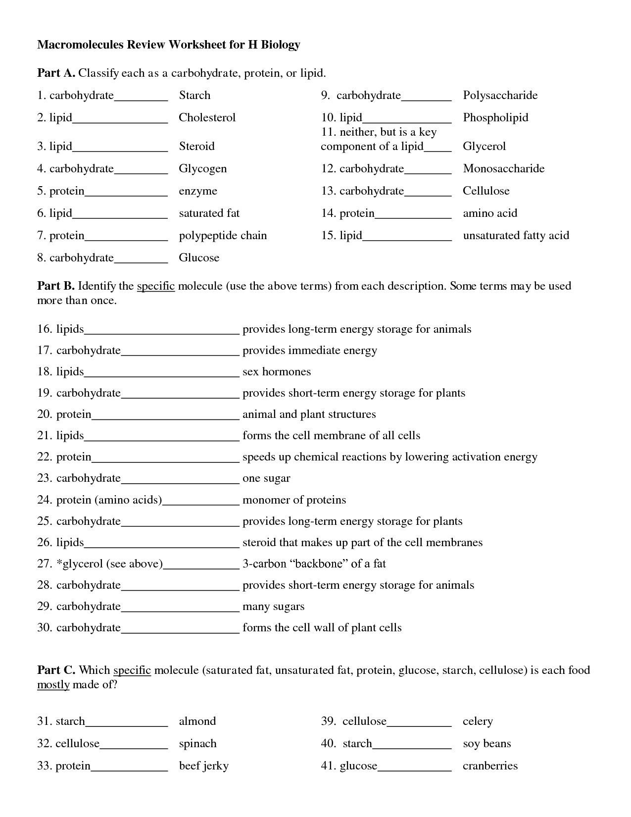 Biological Molecules Worksheet Answers Pin by Mary Louise Maas On Science
