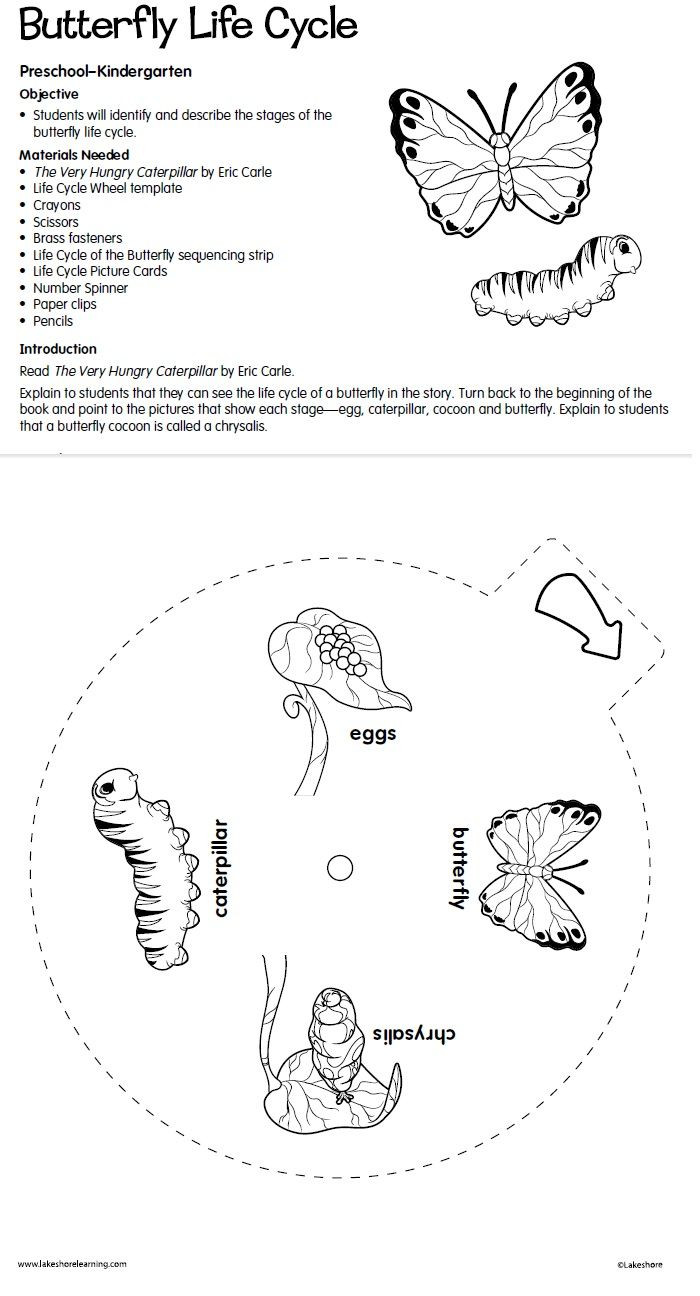 Butterfly Life Cycle Worksheet 2 butterfly Life Cycle Lesson Plan From Lakeshore Learning