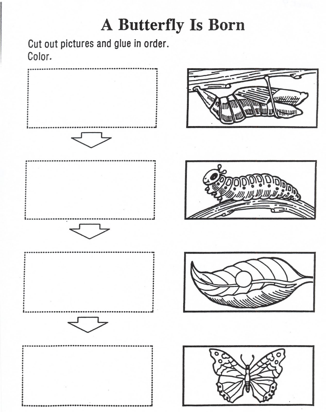 Butterfly Life Cycle Worksheet 2 Life Cycle 2nd 3rd Non butterfly Worksheets Grade