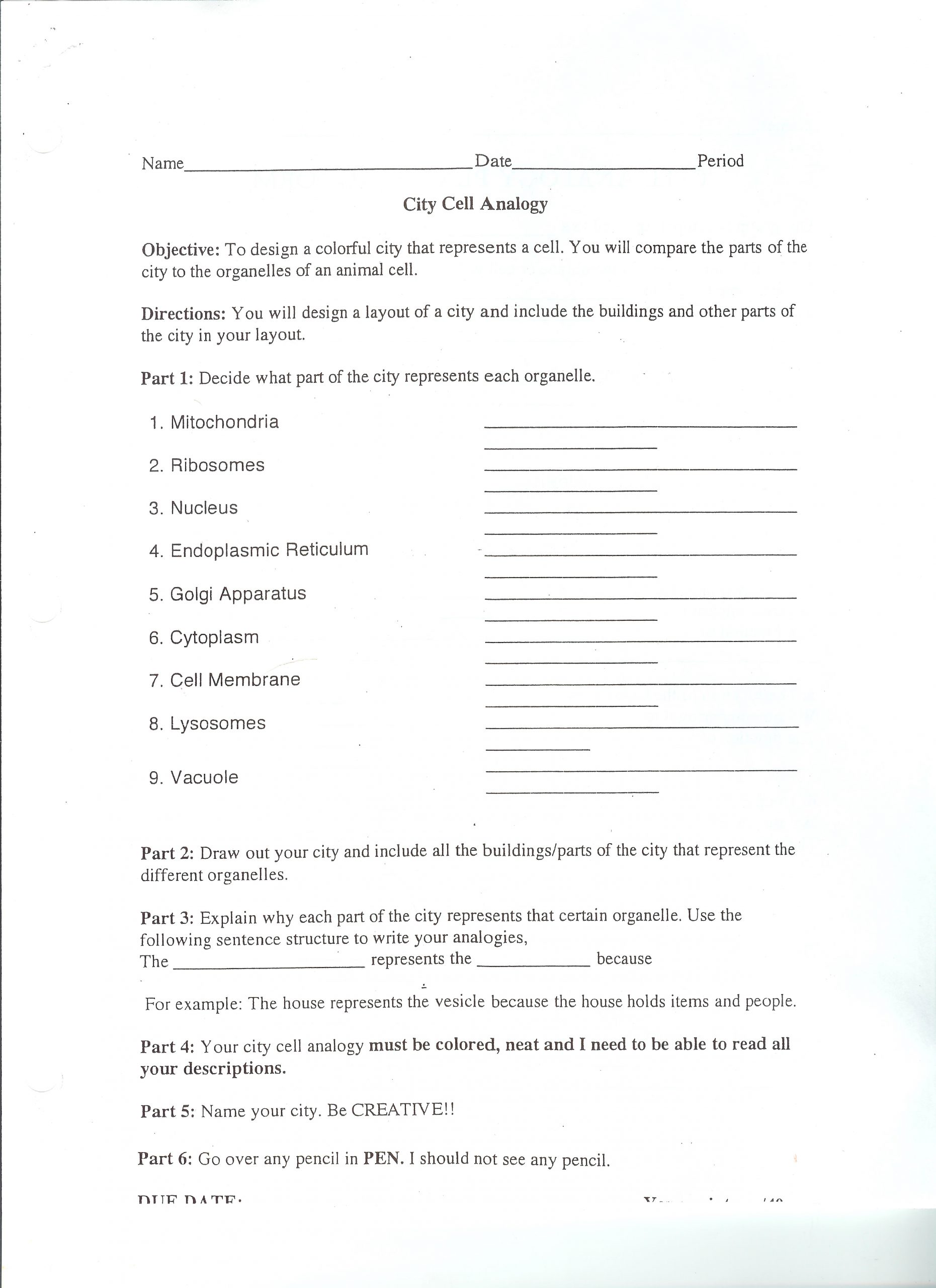 Cell City Analogy Worksheet Doctor Science Home Page