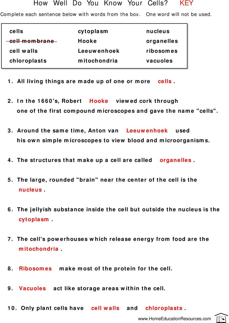 Cell City Analogy Worksheet How Well Do You Know Your Cells Pdf Free Download