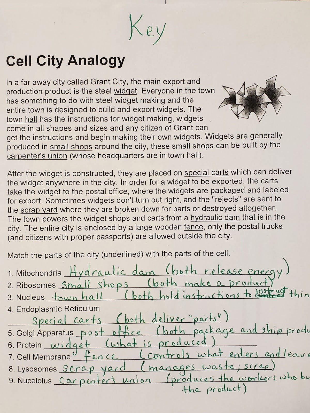 Cell City Analogy Worksheet Mrs Counts 7th Grade Science Class Thursday September 27