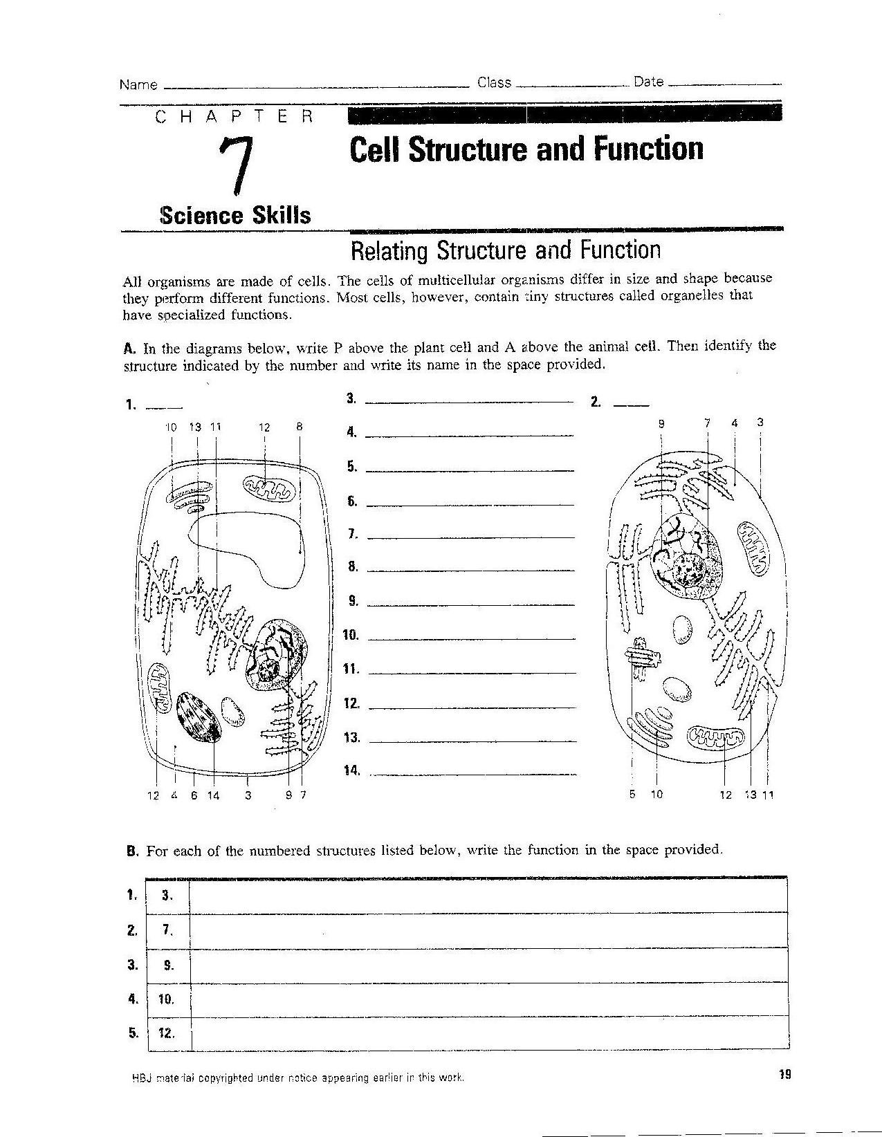 Cell City Analogy Worksheet Singhal Seema Biology