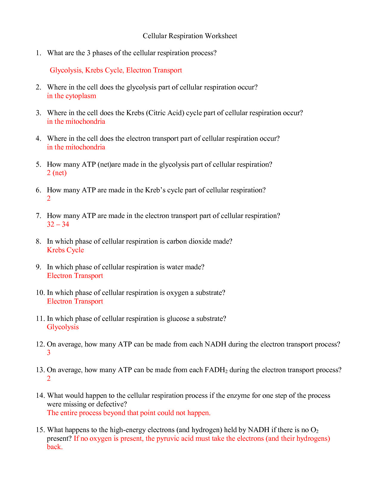 Cell Cycle Worksheet Answers Cell Cycle Regulation Worksheet