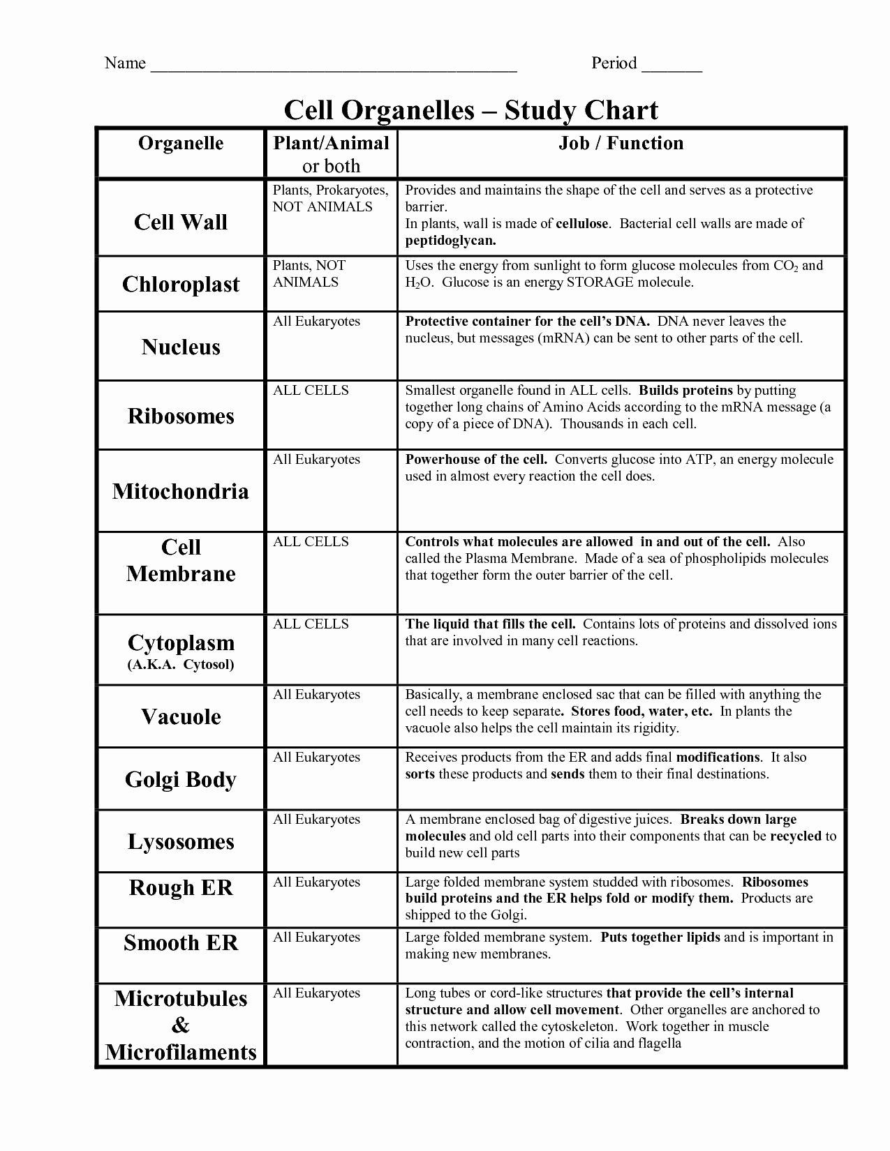 Cell organelles Worksheet Answers 50 Dna Replication Worksheet Answers In 2020