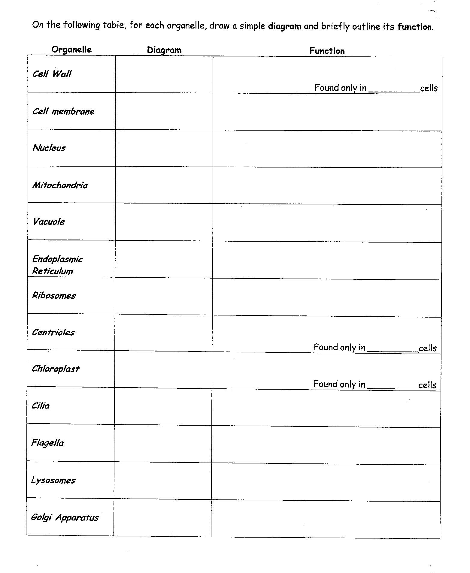 Cell organelles Worksheet Answers Cells and Cell organelles Worksheet Answers