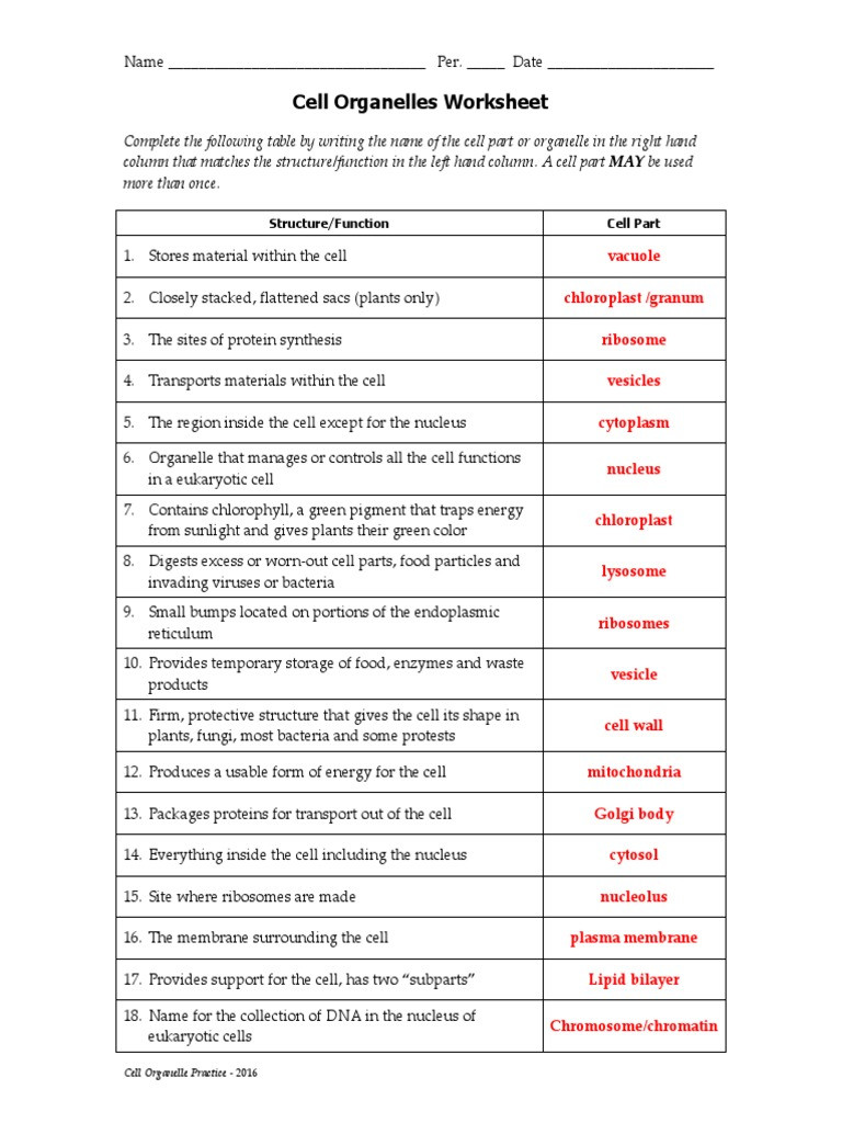 Cells and organelles Worksheet 1 Cell organelles Ws 2016 Key Cell Biology