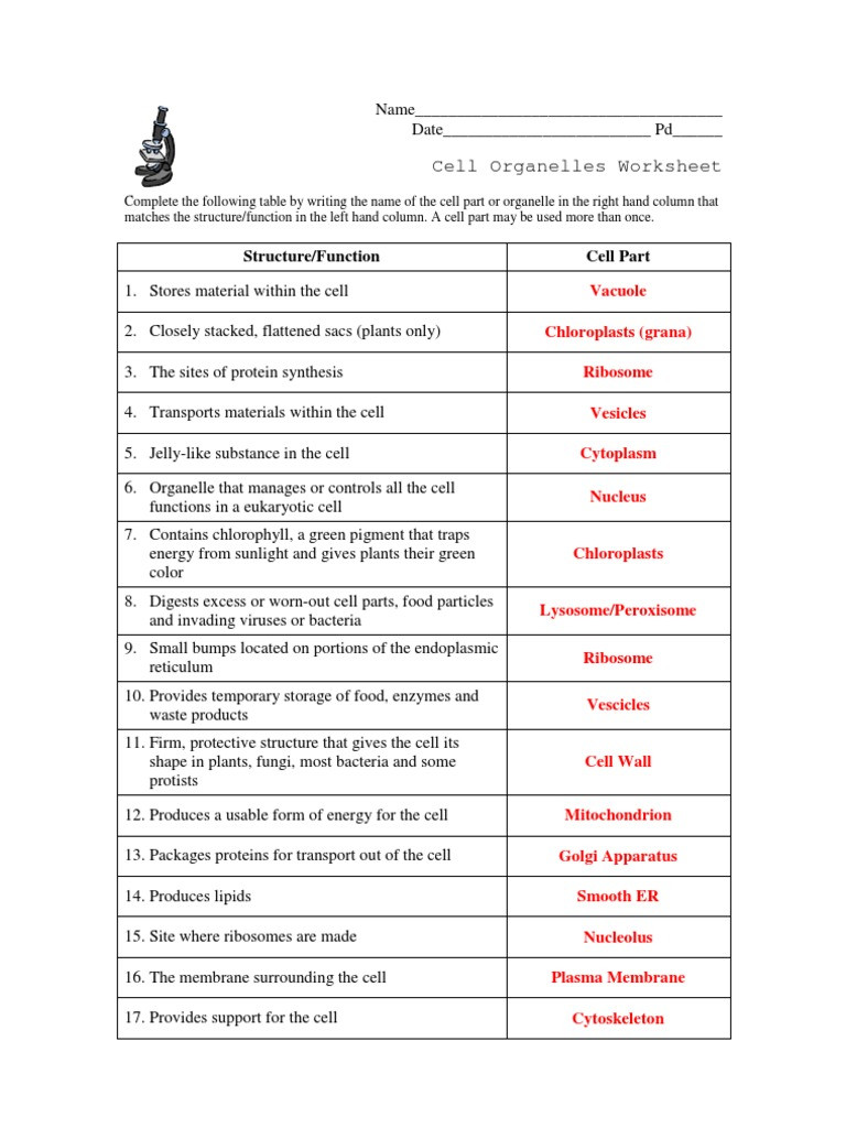 Cells and their organelles Worksheet Cell organelle Worksheet