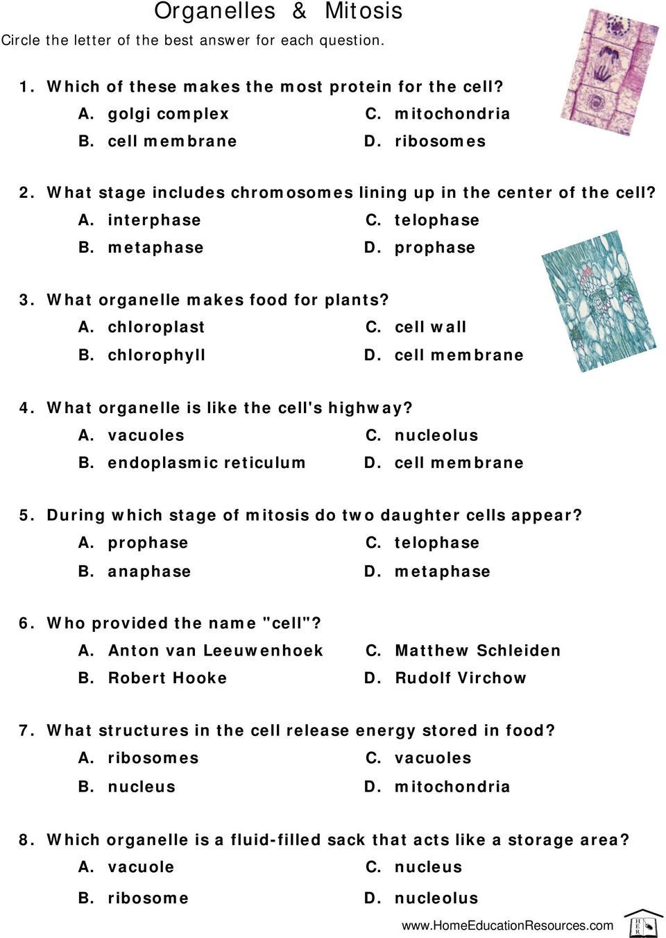 Cells and their organelles Worksheet How Well Do You Know Your Cells Pdf Free Download